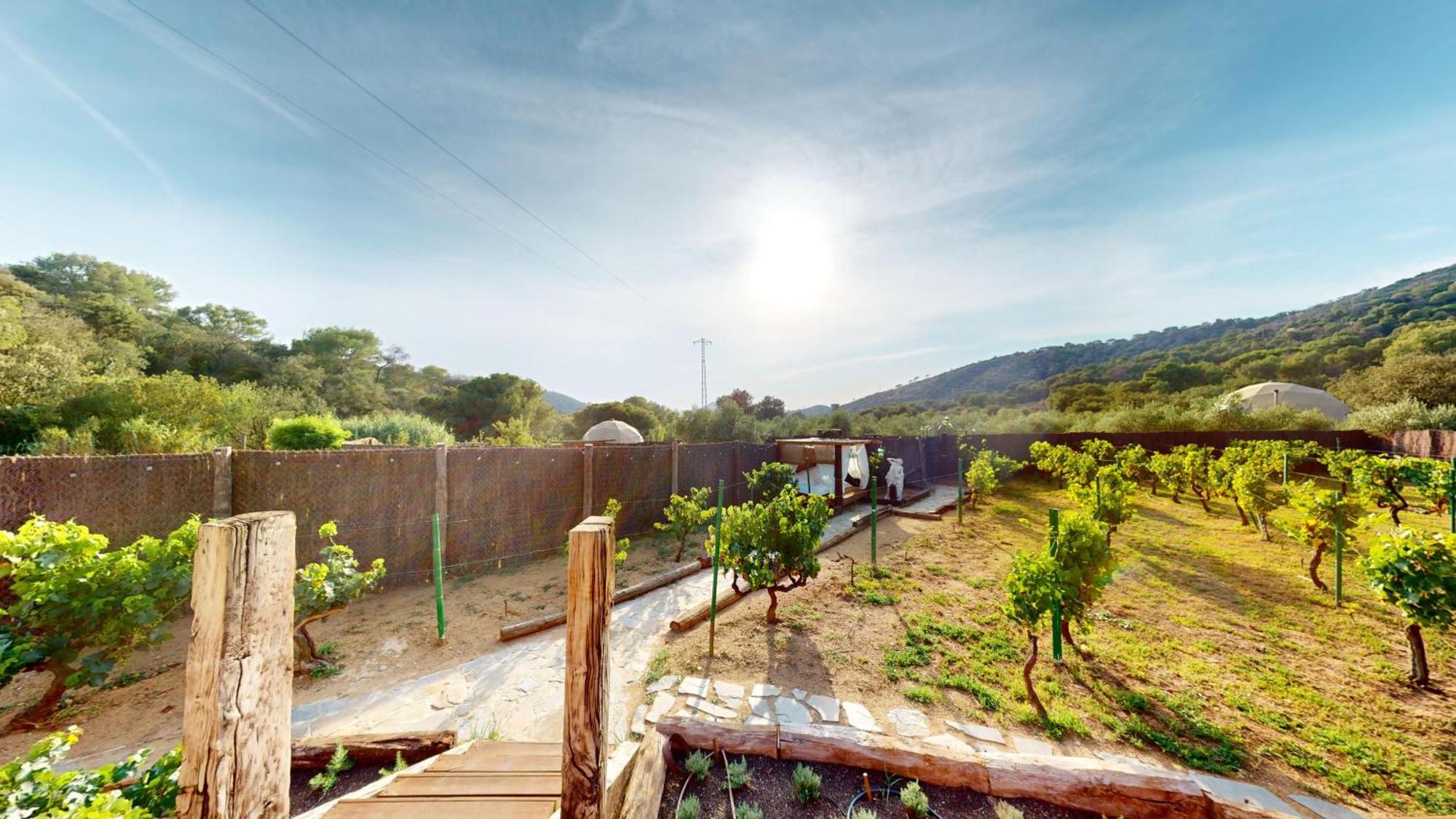 Domo Suites Masia Cal Geperut Badalona Buitenkant foto